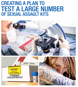 Cover of Creating a Plan to  Test a Large Number of Sexual Assault Kits