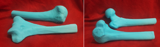 Exhibit 3. Humerus and Femur Prints With an FDM Printer