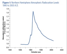 Northern Hemisphere Atmospheric Radiocarbon Levels 1940 to 2003 A.D.