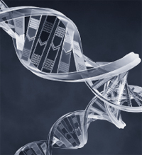 Spiraling double helix