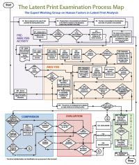 Latent Print Examination Process Map