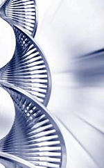 Black and white image of a metal double helix