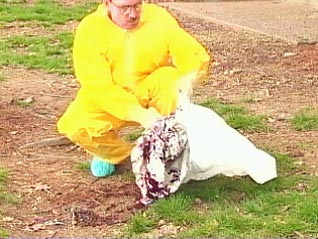 Image of technician using plastic bag