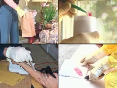 Images depicting the collection and packaging of DNA evidence