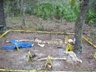 Image of outdoor crime scene