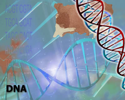 Image of DNA strand