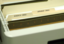 Photo of file folder with two folders in it