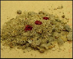 Photo of Wet evidence in sand