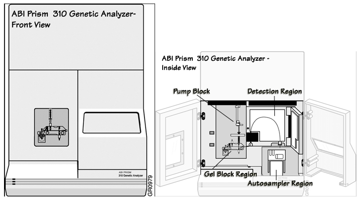 ABI Prism 310 Genetic Analyzer