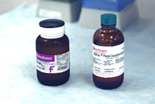 Chelex® 100 Extraction Process - Non-differential