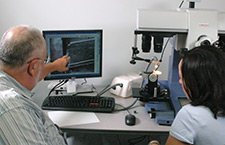Photo of an old man pointing at a computer screen with younger person watching