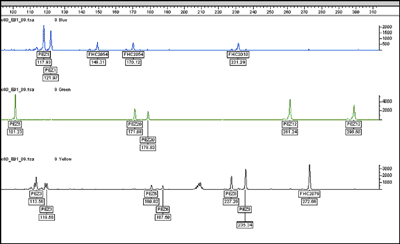 Non-Human Animal DNA - Domestic Cat