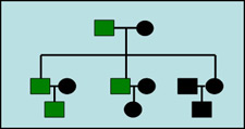 Y-Chromosome Figure 2