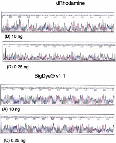 Mitochondrial DNA Linear Array Analysis Graph