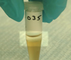 Photo of Aqueous Phase