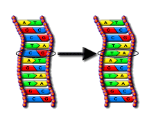 Mutation
