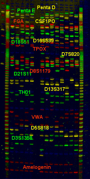 FMBIO® Analysis Software