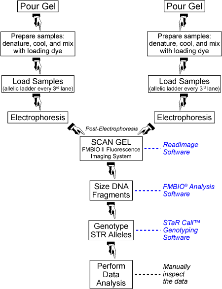 FMBIO® procedure
