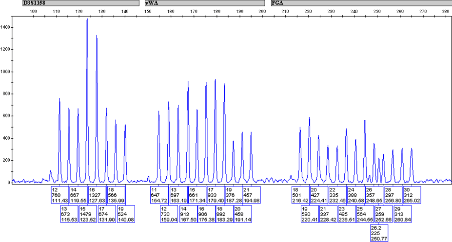 Profiler Plus® allelic ladder (loci D3S1358, vWA, FGA)