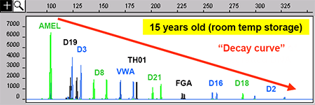 Allele dropout