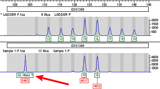 OL Alleles reported as "less than X"