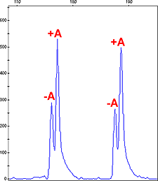 Image of Non-Template Addition