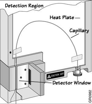 Detection Region
