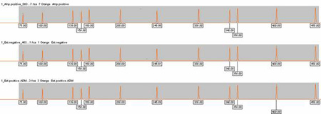 Three plots for an Identifiler™ internal size standard
