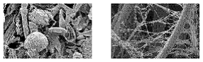 Photo of biological samples