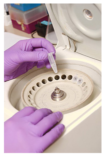 Image of technician working on DNA analysis