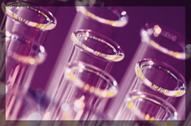 Photo of glass vials in a lab