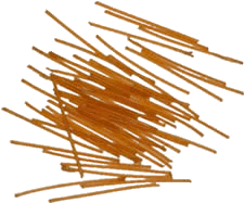 photo of cordite rods