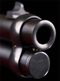 Photo of a contoured muzzle