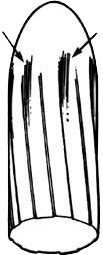 Skid marks