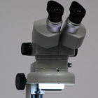 Stereomicroscope