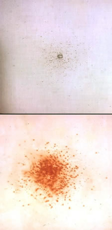 Modified Griess Test results of shot at three inches