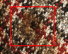 White cotton twill jean would not produce residue patterns comparable with the above