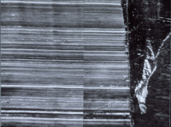 CMS on evidence and known striated marks