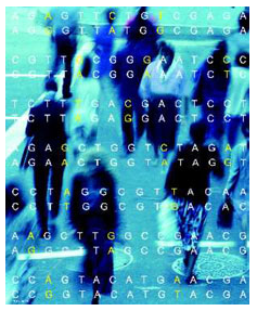 Population Theory