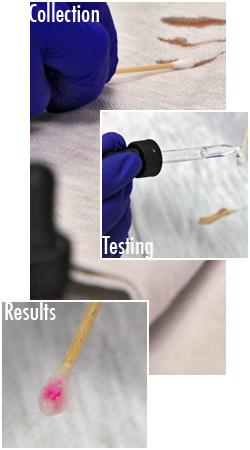 composite of three images, collecting DNA on swab, testing swab, results of swab 