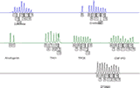 Applied Biosystems COfiler
