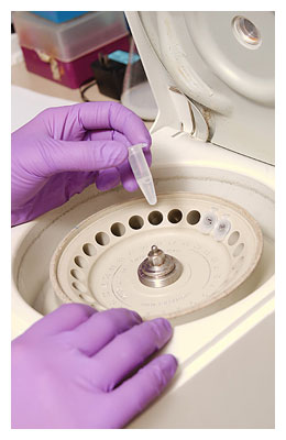 Photo of person putting test tube into a machine