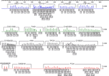 AmpFℓSTR® Identifiler™