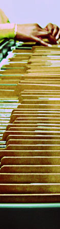 Photo of someone searching through file folders