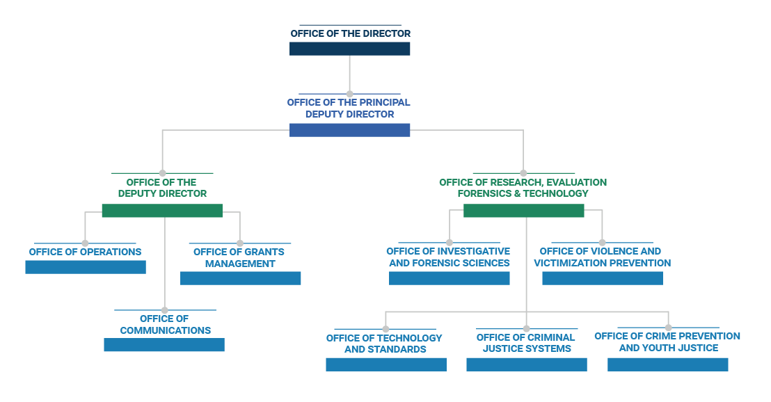 NIJ Organization Chart