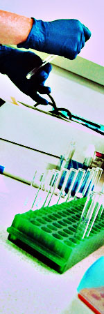 gloved hands filling a test tube