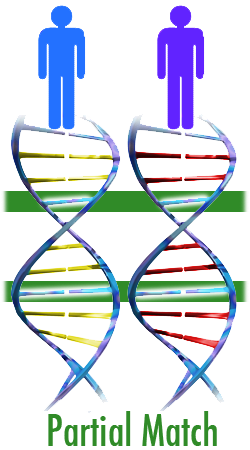 illustration showing a partial match