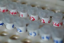 Reaction Tubes