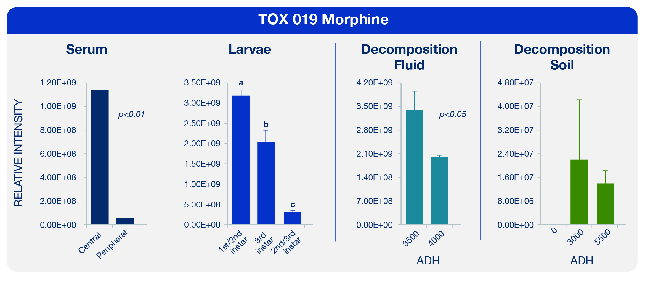 Morphine was present in the blood serum, the larvae that were feeding on the cadaver, the decomposition fluid, and eventually the soil as well. 