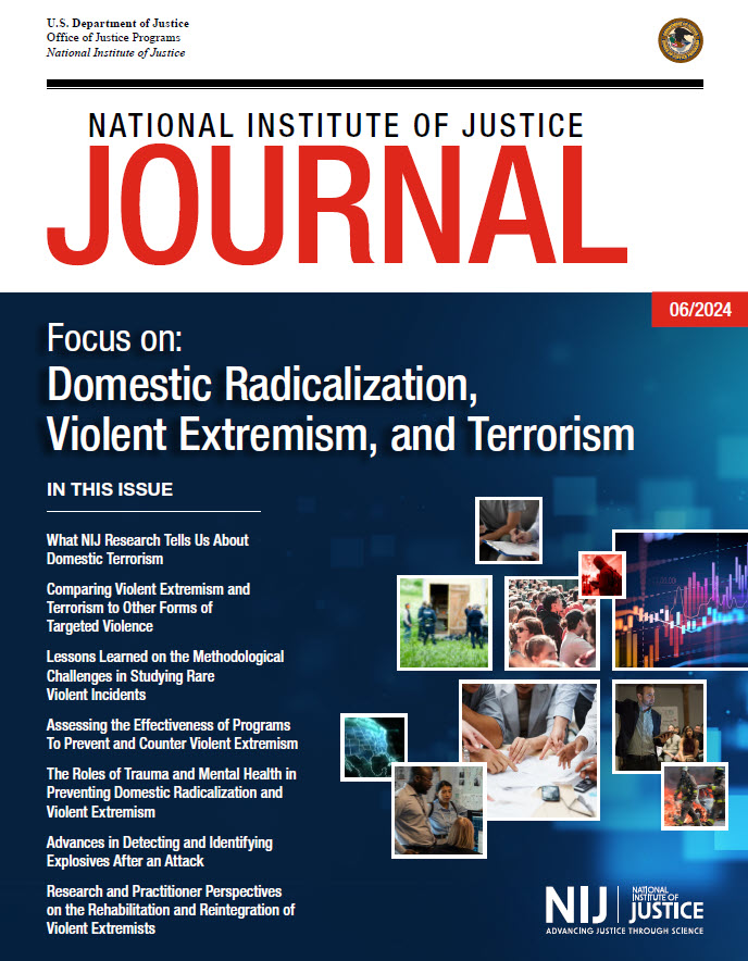 NIJ Journal 285 cover - Domestic Radicalization, Violent Extremism, and Terrorism